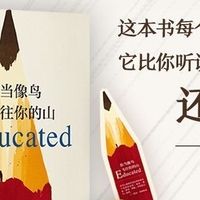 当你像鸟飞往你的山：在自我觉醒中重构人生