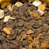 毛孩子双向奔赴的美好瞬间