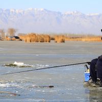 冬日破冰执竿，畅享户外钓鱼的独特体验