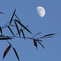 新生儿安全座椅怎么选？i-Size认证+反向安装完全解析