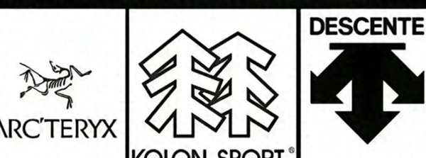 始祖鸟在登山，迪桑特在开会，它为啥成为“厅局风”战袍