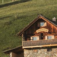 网盘文件批量处理神器：转存检测一站式搞定