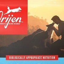 Orijen六种鱼全阶段狗粮解,养宠好物值得您关注