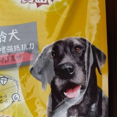 宝路牛肉粮体验：布丁的健康选择