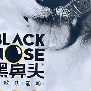 黑鼻头狗粮50g试吃体验