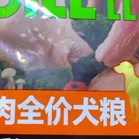 比乐臻鲜Pro狗粮封神！挑食泰迪狂炫，去泪痕还护肠