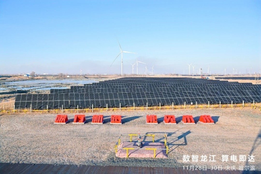 数智龙江 算电即达:黑土地上的绿色数智新篇章