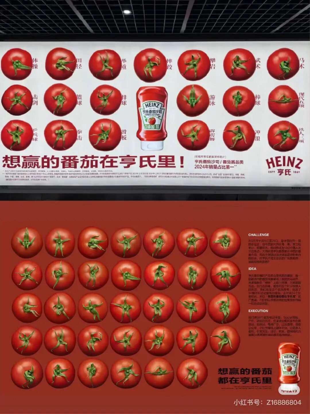 独家对话甲乙方:34颗番茄刷屏的真相,是ROI时代 “敢赢” 的创意勇气!