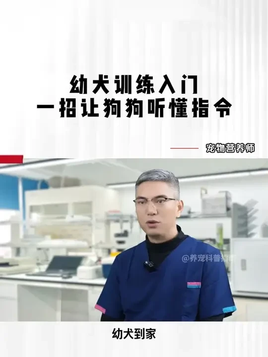 新手养狗铲屎官，想不想拥有一只听话的狗狗，这个视频教会你。 #养狗经验分享  #萌宠好物  #养狗人