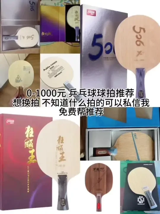 乒乓球拍大推荐！这一期看好打的 就是一些是冷门的