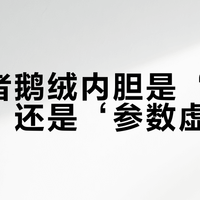探路者鹅绒内胆是‘真香清仓’还是‘参数虚标’？全网观点大PK