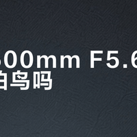 适马500mm F5.6适合新手拍鸟吗？全网观点大交锋