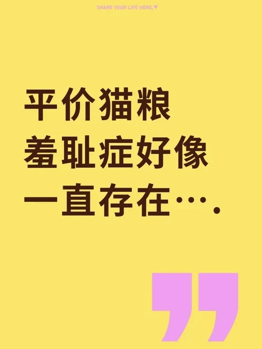 平价猫粮羞耻症好像一直存在…