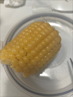 香甜Q弹东北黄糯玉米营养丰富