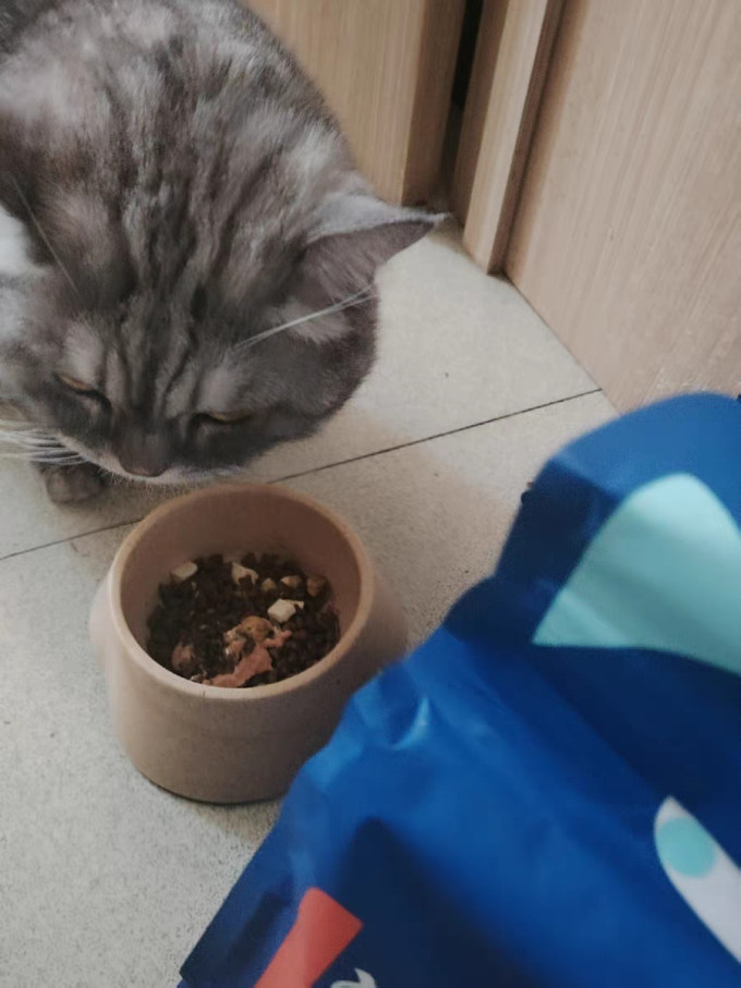喔喔猫粮