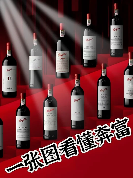 不同视角对比🆚让你秒懂奔富段位🍷