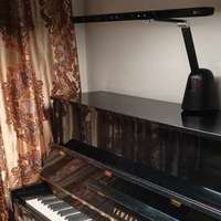 娃练琴护眼刚需！德普钢琴灯真不是智商税✨