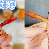 比84消毒液还好用，这5种清洁好物，一个比一个牛，建议试一试