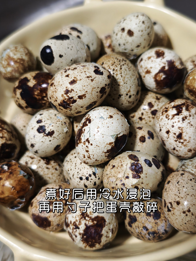 八马茶业普洱茶
