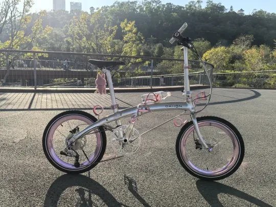 pinkpink的大行P10🚲