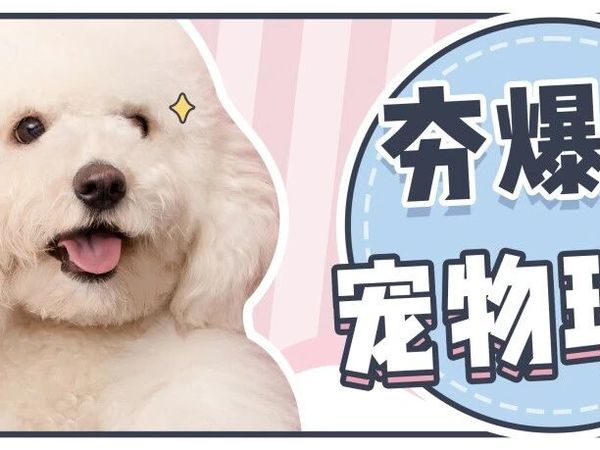 凭什么！它能被170w养宠人投票为TOP1？