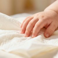 德佑 vs 可心柔乳霜纸？58位宝妈真实体验告诉你答案