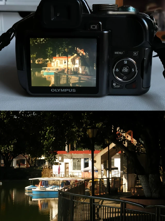 当我带奥林巴斯长焦ccd去逛公园📸。下午三点多的阳光刚刚好🥺
这台出片色调偏暖  复古浓郁的电影感
它还有18倍的光学变焦  轻轻松松拍月亮🌙
📷型号：奥林巴斯sp550uz  原图直出
无调色   