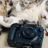 Z卡口最小AF镜头？唯卓仕28/4.5体验