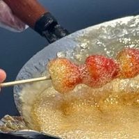 薛记现做糖葫芦新鲜可靠