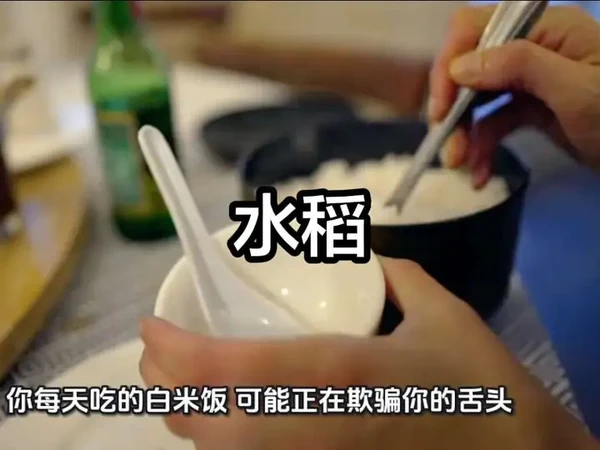 水稻#三农流量扶持计划 #水稻 #新农人 #硬核深度计划
