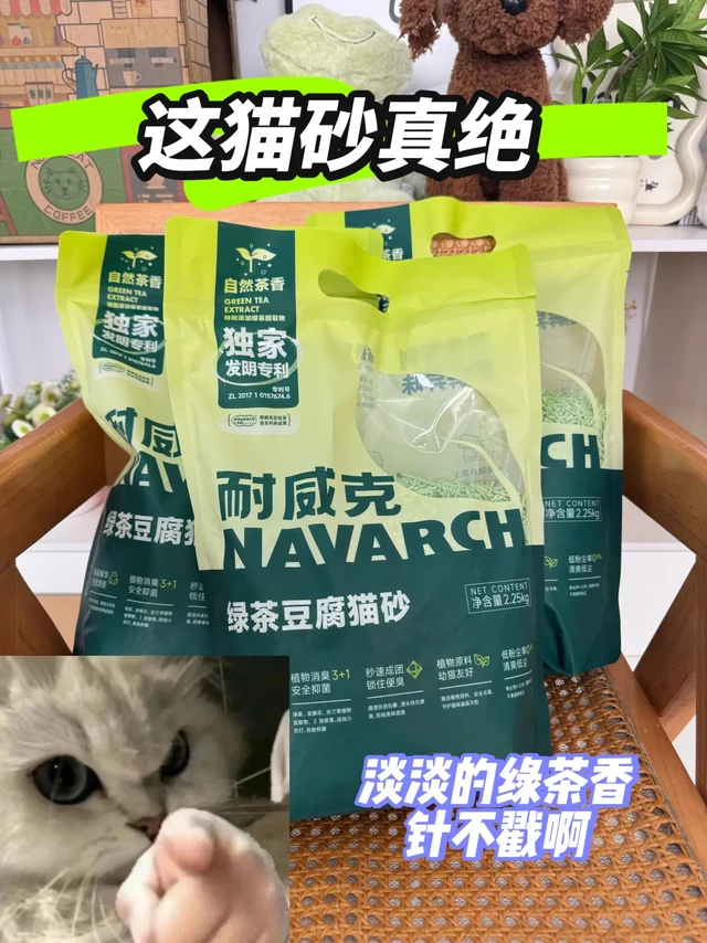 被我家猫夸了！这猫砂是真·空气净化器