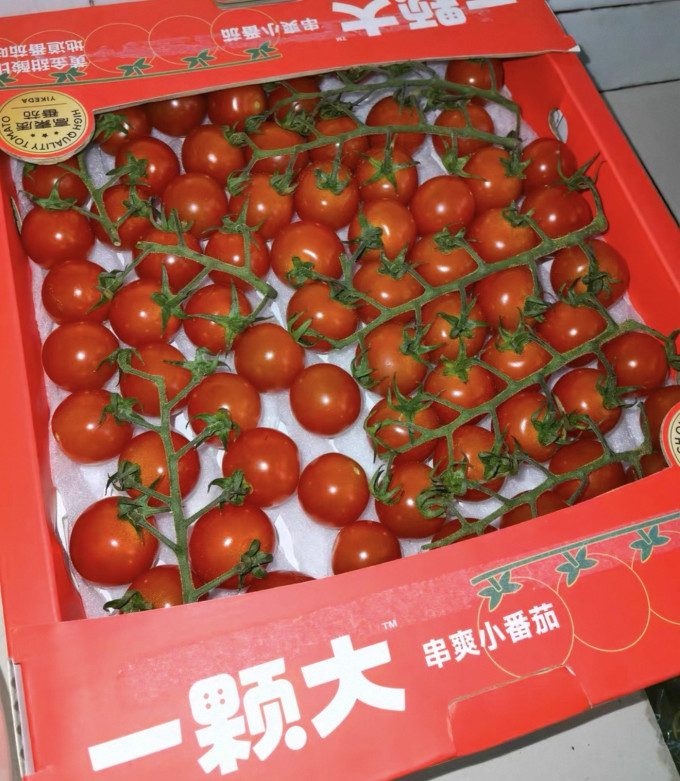 一颗大蔬菜