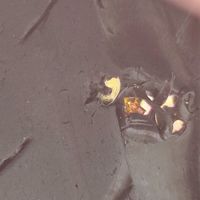 补胎钉有多牛？三年半开了5w5公里的轮胎终于寿终正寝了