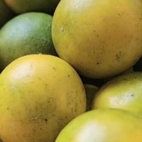 融安脆皮金桔，一口爆汁的甜蜜惊喜