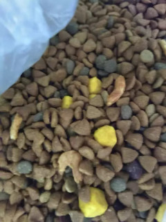 两款狗粮选购笔记