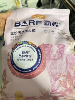 成犬粮喂食与换粮建议