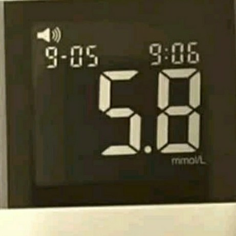 鱼跃921血糖仪精准低痛