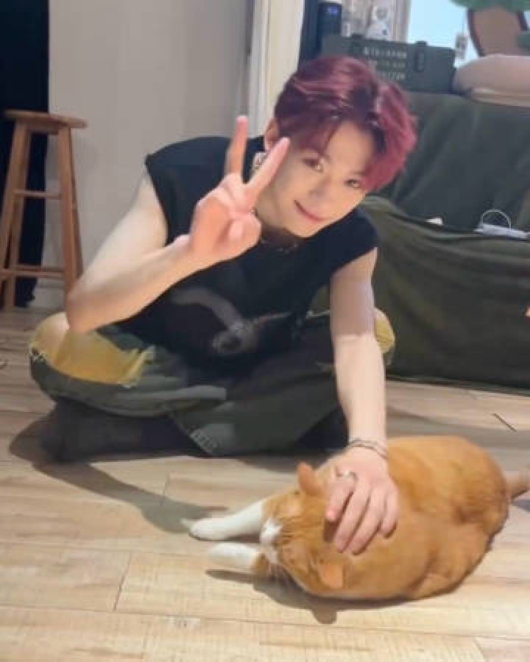 梓渝养猫圆梦:曾因拮据与猫告别,如今兑现承诺拥抱温暖