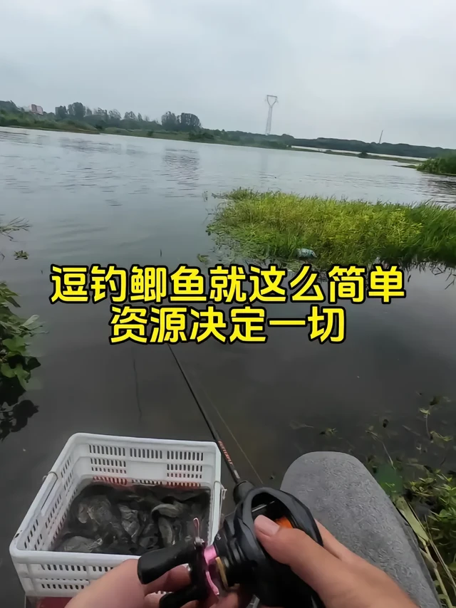 哈斯达蝴蝶1.8ul微物竿如何搭配？🎣哈斯达蝴蝶1.8ul搭配库拉多bfs微物水滴轮，竿子轻软，轮子顺滑，抛投3.5克饵无压力。
📏主线选1.25尼龙线，子线0.6号，远投精准又灵敏。
🔍钓组细节：5