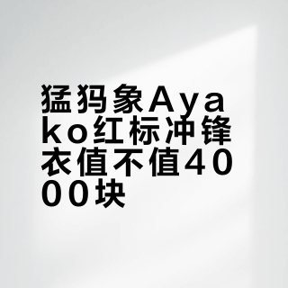 猛犸象Ayako红标冲锋衣值不值4000块？1200+用户观点大PK