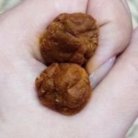 第一次对凡士林肃然起敬！（痔疮肉球涂凡士林）