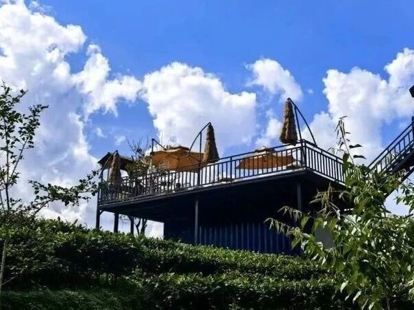 云南【茶与咖啡】溯源之旅：跟随花花老师，换一种方式体验滇西南