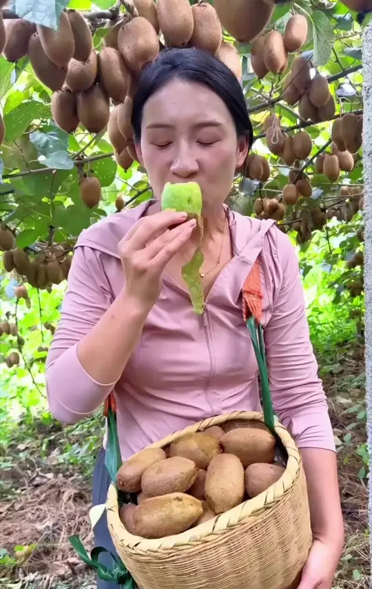 绿心猕猴桃头茬新果当季新鲜水果采摘孕妇可食奇异果皮薄肉厚正宗#绿心猕猴桃 #新鲜水果 #奇异果 #皮薄肉厚 q