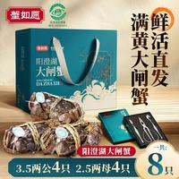 蟹如愿阳澄湖大闸蟹：鲜活本味，礼赠心意