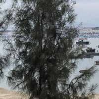 夏日露营，你准备好了吗？