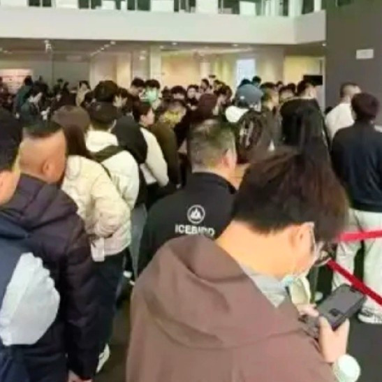 特斯拉交付中心春运式提车潮，排长队0仪式，11月销量8.67万辆