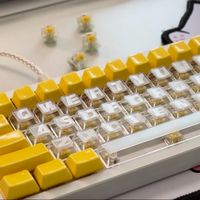 客制键盘：颜值与手感谁更打动你？1200+用户观点大碰撞