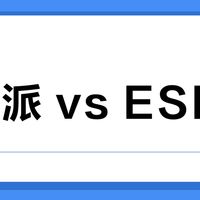 树莓派 vs ESP32？我们集合了68位DIY新手的真实体验，结论在这
