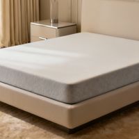 泰普尔vs梦百合记忆棉床垫？50+用户真实体验告诉你谁更胜一筹