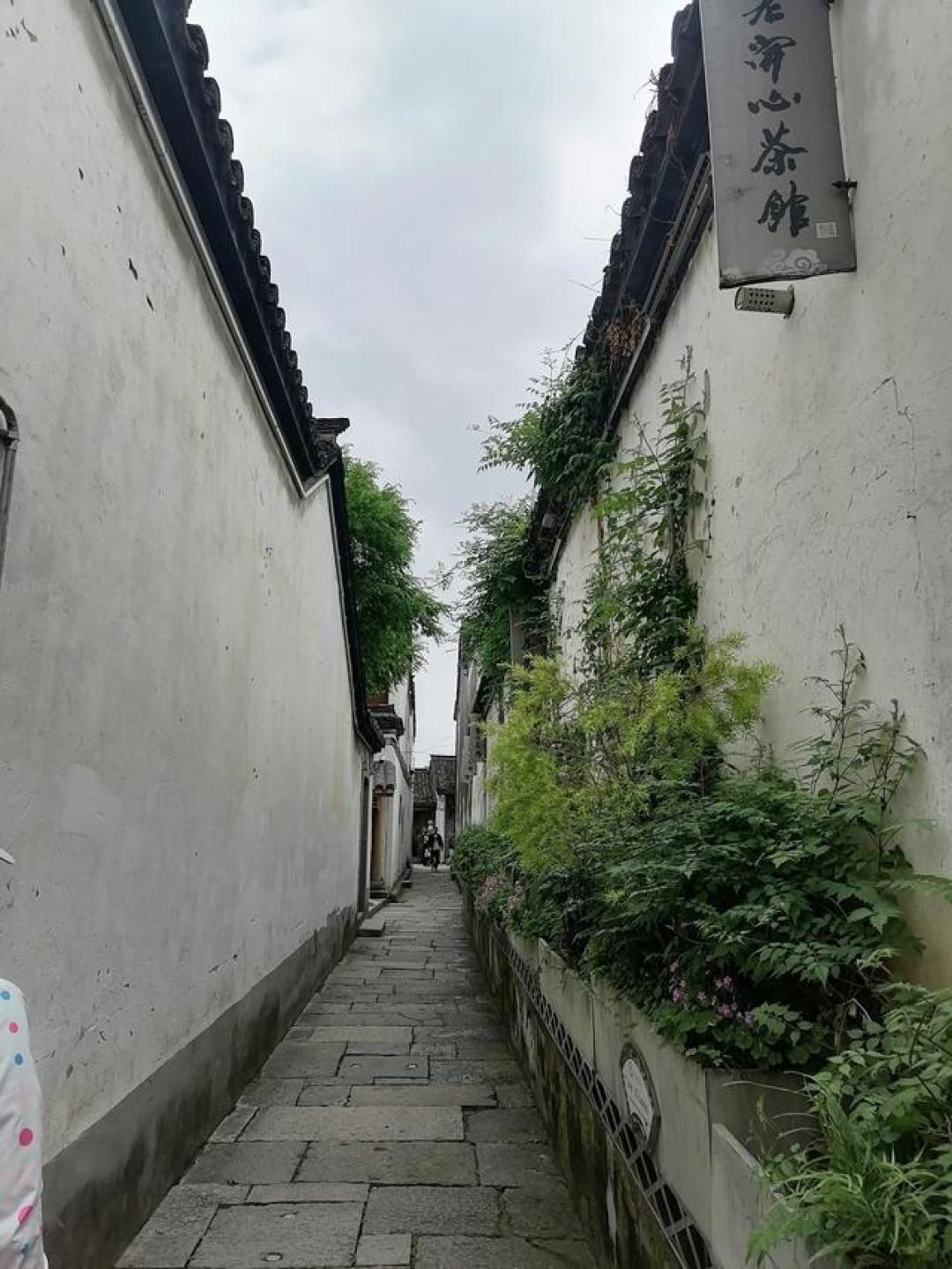 梓渝一份攻略带火常州:解锁恐龙园外的江南烟火气